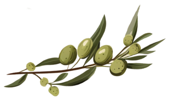 Image of Olives 4